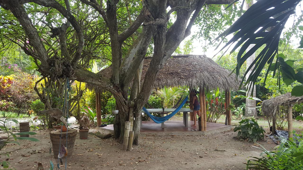 Las Cabañas de la Iguana Ayampe Exterior foto